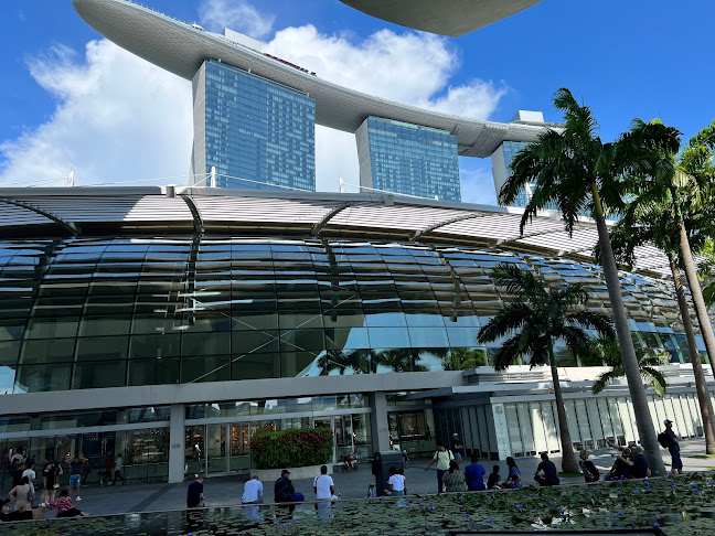 Opinii despre Miracle Coffee în Singapore - Hospitality and gastronomy