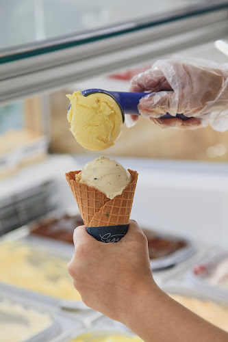 Sugartree Gelato - Hospitality and gastronomy