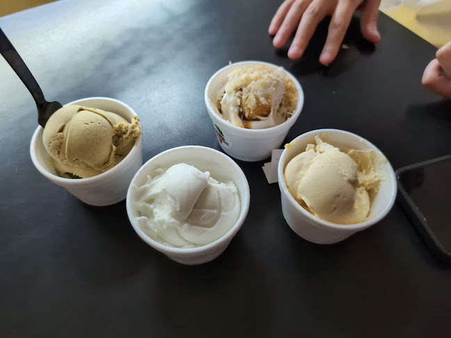 Freshio Gelato - Hospitality and gastronomy