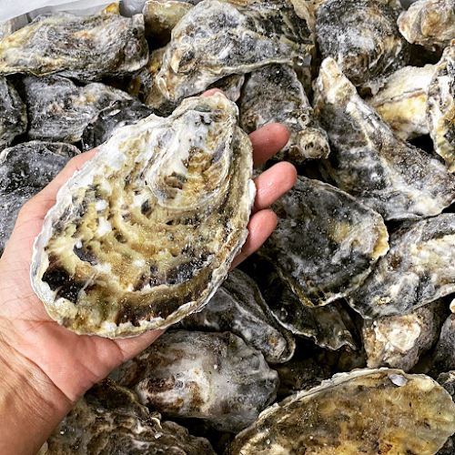 Comentarii opinii despre Kin Hoi (Original) Famous Thai Food