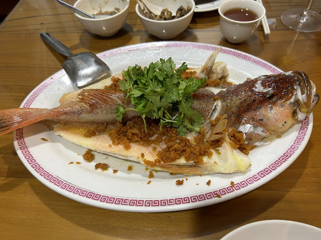 Comentarii opinii despre Lucky House Cantonese Private Kitchen 陶然居