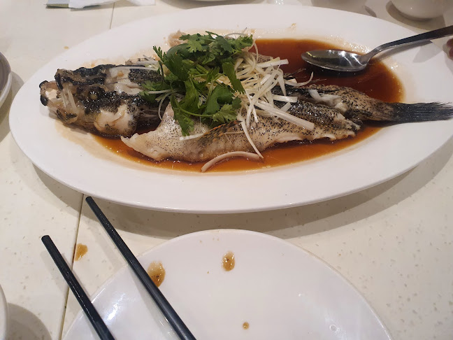 Comentarii opinii despre TungLok Peking Duck Novena