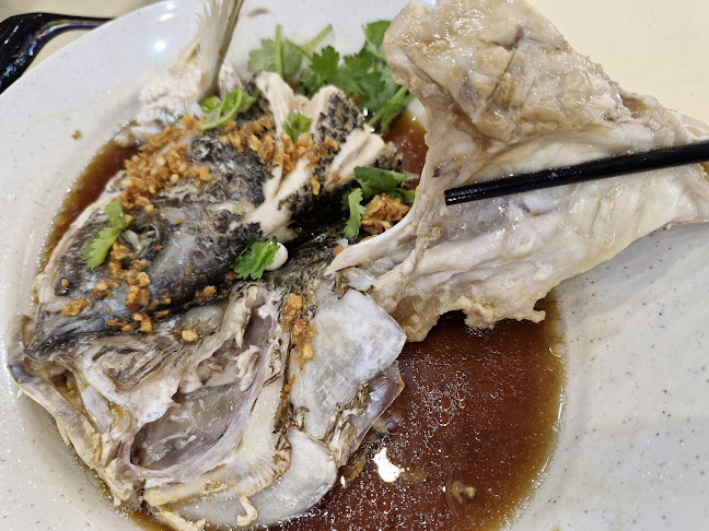 TOTOFISH 多多魚 (532 AMK Ave 10) - Hospitality and gastronomy