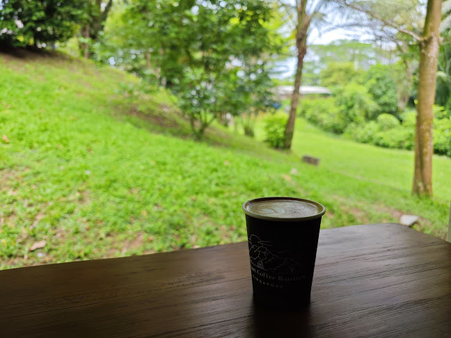 Comentarii opinii despre Merchant Coffee Roasters