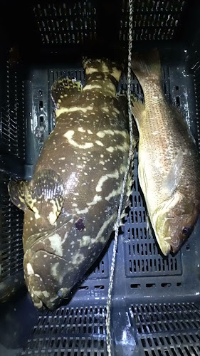 96 Pasir Ris Central, Singapore 519638