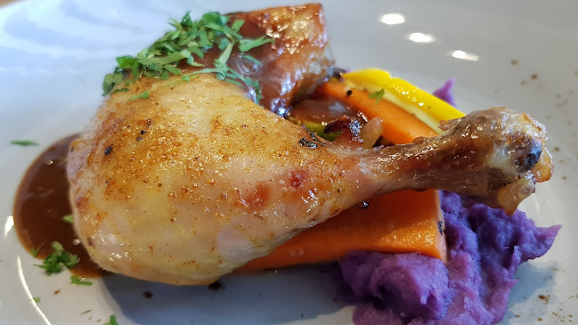 Vineyard - Hospitality and gastronomy