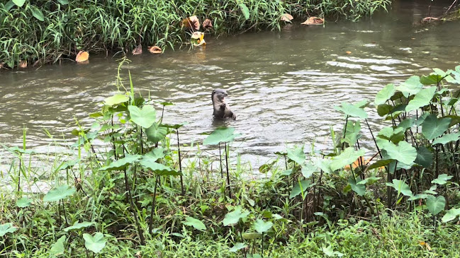 510 Ang Mo Kio Ave 1, Singapore 569983