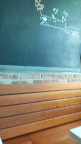 Comentarii opinii despre Relish by Wild Rocket