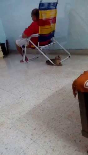 Bukit Batok Street 11 Food - Hospitality and gastronomy