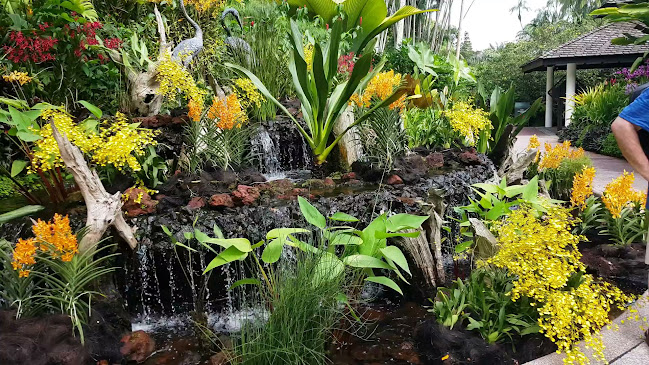 1 Cluny Rd, Ginger Garden Singapore Botanic Gardens, Singapore 259569