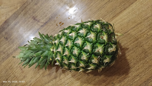 YUAN YUAN BEDOK STORE