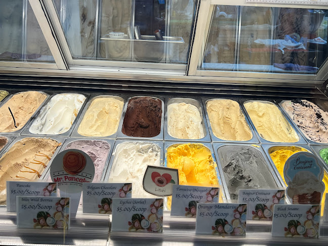 Freshio Gelato - Hospitality and gastronomy