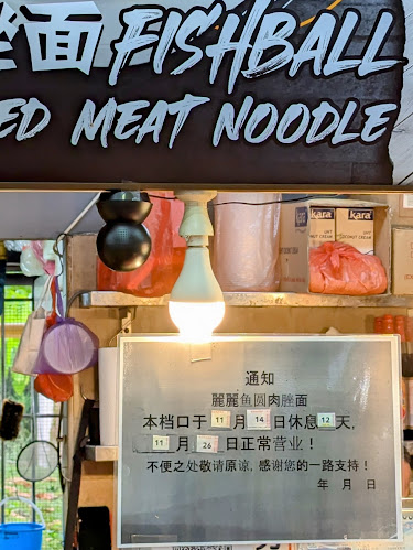 Lily Fishball Noodle - Singapore
