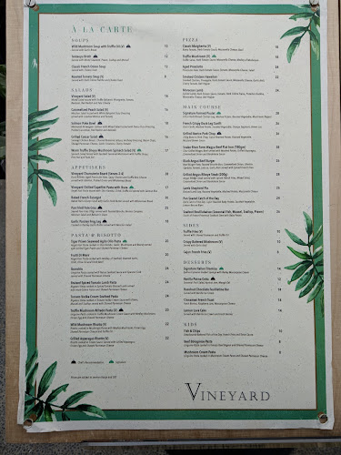 Comentarii opinii despre Vineyard