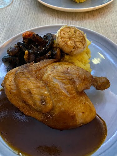 Comentarii opinii despre Lazy Lizard - NEWest