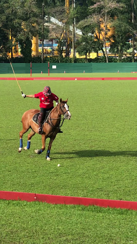 Comentarii opinii despre The Paddock Bistro - Poolside & Outdoor Dining