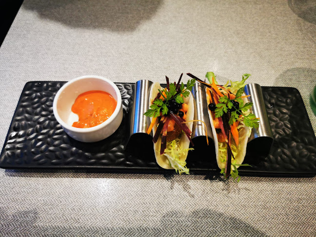 Comentarii opinii despre elemen 元素