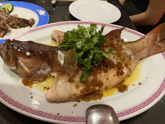 Lucky House Cantonese Private Kitchen 陶然居 - Hospitality and gastronomy