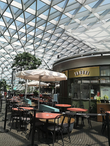 Chang Jiang G1 Claypot Frog Porridge 长江1号