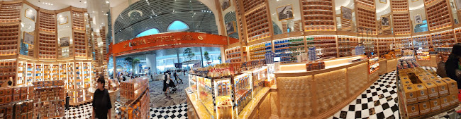 70 Airport Blvd., Singapore 819665