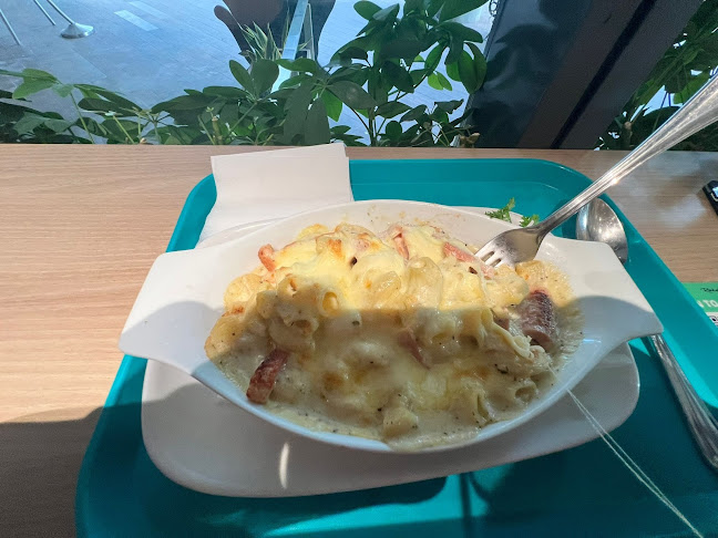 Opinii despre Rocky Master în Singapore - Hospitality and gastronomy