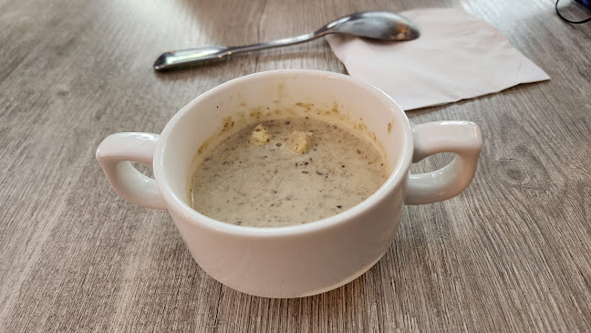 Lazy Lizard - NEWest