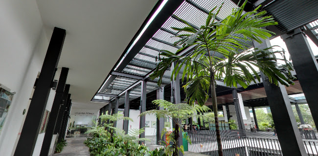 Comentarii opinii despre Vineyard