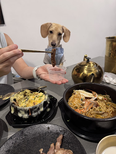 Comentarii opinii despre Chingu @ Rochester