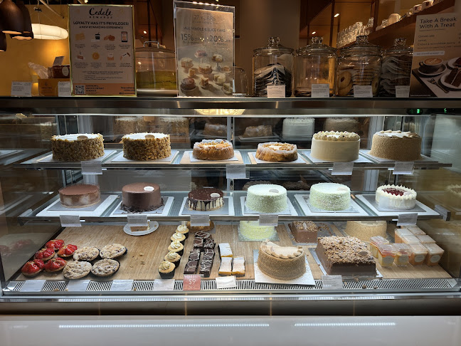 1 Vista Exchange Green, #01-18/19 The Star Vista, Singapore 138617