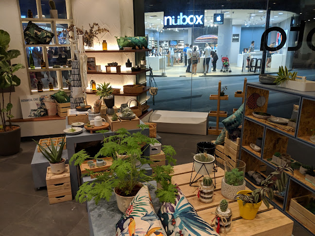 Comentarii opinii despre 食堂 Shi Tang by Mahota Kitchen