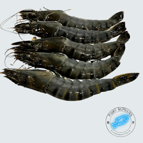 Opinii despre Fishy Rumours în Singapore - Hospitality and gastronomy