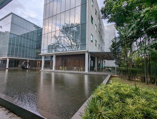 8 Anthony Rd, #01-01, Singapore 229957