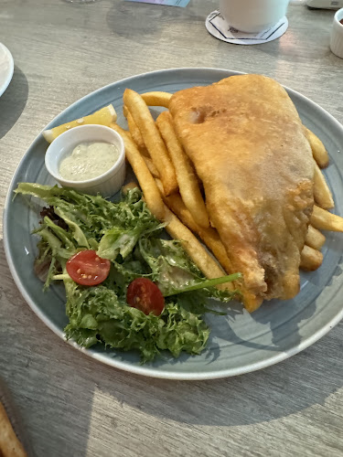 Comentarii opinii despre Lazy Lizard - NEWest