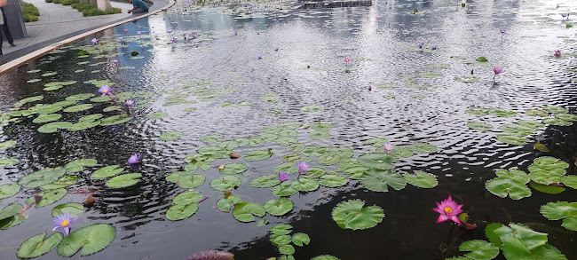 Miracle Coffee - Hospitality and gastronomy