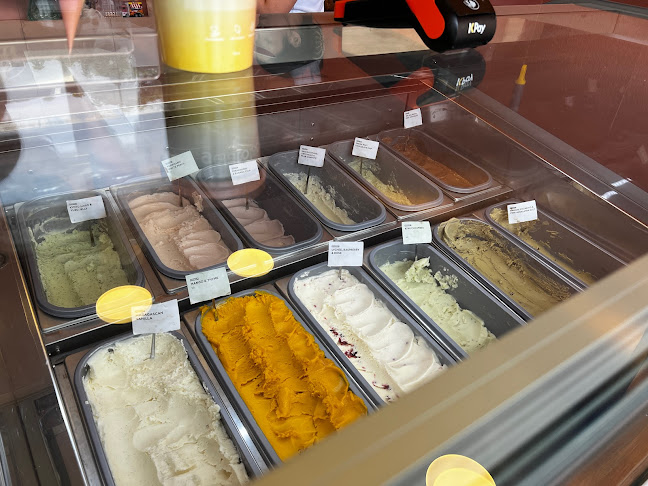 Comentarii opinii despre gelatolabo