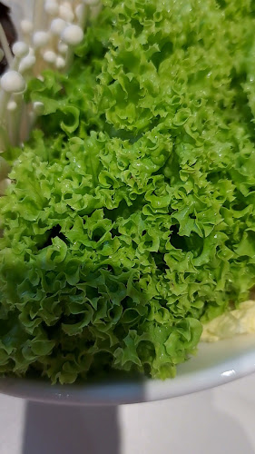 Little Pond 小鱼塘@Northpoint City - Singapore