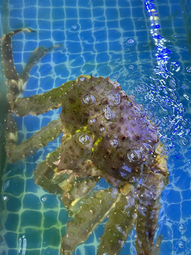 SMAC BBQ (Tanjong Pagar) 木炭串烧（丹戎巴葛） - Singapore