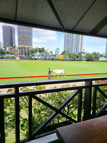 The Paddock Bistro - Poolside & Outdoor Dining