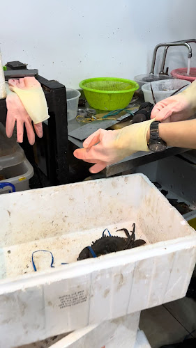 YYF CRABS - Singapore