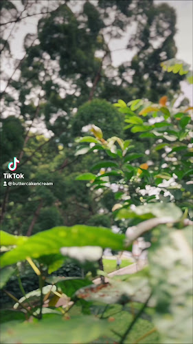 Comentarii opinii despre Buttercake N Cream