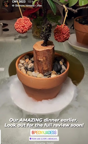 Comentarii opinii despre Peony Jade @ AMARA Singapore