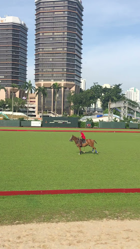 80 Mount Pleasant Rd, Singapore 298334