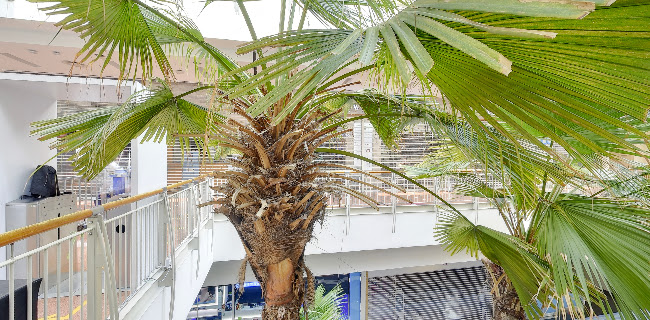 Opinii despre The Whale Tea SG - Jurong Point în Singapore - Hospitality and gastronomy