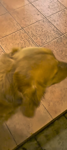 Opinii despre Candy's Viet Kitchen în Singapore - Hospitality and gastronomy