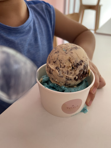 Tucela Gelato - Hospitality and gastronomy