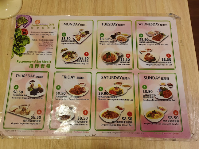 Eco-Harmony Retail & Cafe - Hospitality and gastronomy