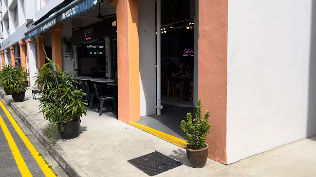 Wild Coco (Hamilton Road)