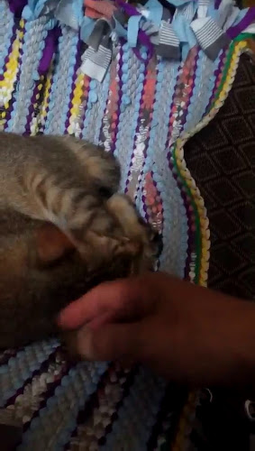 155 Bukit Batok Street 11, #01-01, Singapore 650155