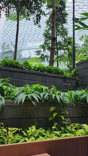Wa-En Wagyu Yakiniku - Singapore