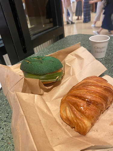 Comentarii opinii despre Origin + Bloom